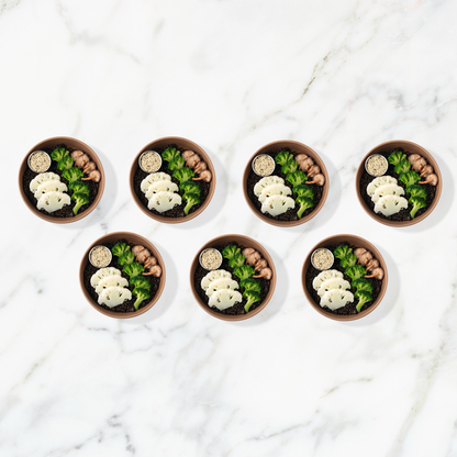 Super Veggie + Nutty Pudding (Blueprint diet)